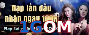 1GOM